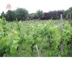 FINCA URBANIZABLE EN PEREIRO