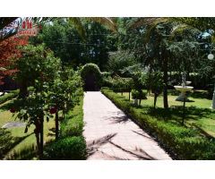 ESTUPENDO CHALET CON PISCINA Y PARCELA EN COLES
