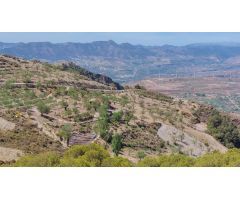 FINCA RÚSTICA EN SAN JOSE DE LA RINCONADA-GRANADA