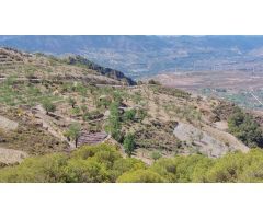 FINCA RÚSTICA EN SAN JOSE DE LA RINCONADA-GRANADA
