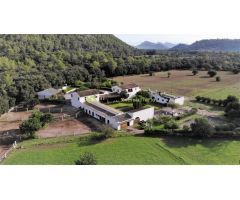 MAJESTUOSA finca con vistas, ideal para caballos