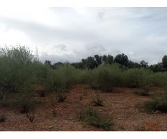 Parcela en Venta en La Ribera de la Algaida, Islas Baleares