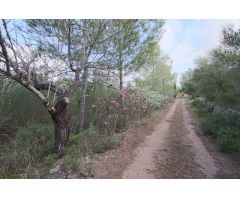 Finca rústica con pequeña caseta