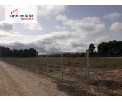 VENTA O ALQUILER DE TERRENO RUSTICO EN CRUZ DE LA CAÑADA (VILLENA)