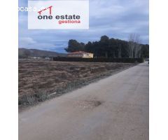 VENTA O ALQUILER DE TERRENO RUSTICO EN CRUZ DE LA CAÑADA (VILLENA)