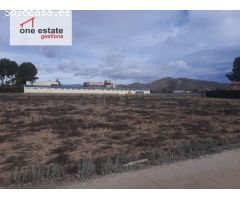 VENTA O ALQUILER DE TERRENO RUSTICO EN CRUZ DE LA CAÑADA (VILLENA)