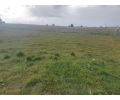 JU.- En Torrecaballeros podrás tener tu vivienda en plena naturaleza