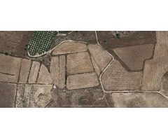 TERRENO RUSTICO EDIFICABLE