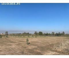 TERRENO RURAL 7500 METROS EN SANTA POLA