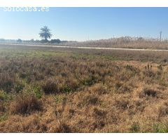 TERRENO DE 12000 METROS EN DAIMES