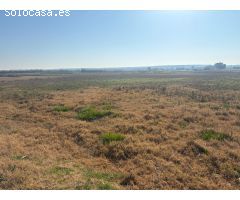 TERRENO DE 12000 METROS EN DAIMES
