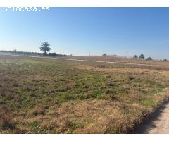 TERRENO DE 12000 METROS EN DAIMES