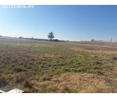 TERRENO DE 12000 METROS EN DAIMES