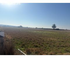 TERRENO DE 12000 METROS EN DAIMES