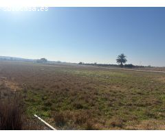 TERRENO DE 12000 METROS EN DAIMES