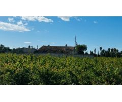 Casa de Campo en Daimes con Plantación de Granadas - 25.000 m² de Terreno