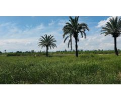 Terreno Rústico en Partida Daimes – 11.000 m² en Camí Fondo de La Ermita
