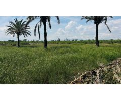 Terreno Rústico en Partida Daimes – 11.000 m² en Camí Fondo de La Ermita