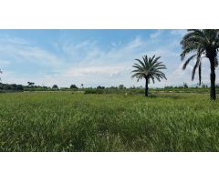 Terreno Rústico en Partida Daimes – 11.000 m² en Camí Fondo de La Ermita