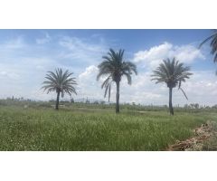 Terreno Rústico en Partida Daimes – 11.000 m² en Camí Fondo de La Ermita