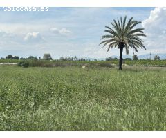 Terreno Rústico en Partida Daimes – 11.000 m² en Camí Fondo de La Ermita