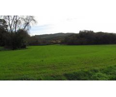Venta de parcela rústica en Ruiloba