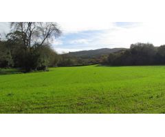 Venta de parcela rústica en Ruiloba