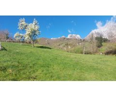 Venta de terreno rústico urbanizable en Liébana