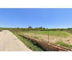 Suelo agrario en el Campo de Guardamar del Segura