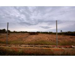 Suelo agrario en el Campo de Guardamar del Segura