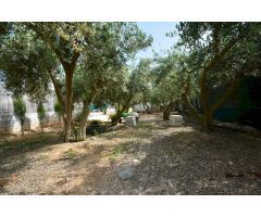 Chalet independiente con gran parcela y piscina privada en El Mirador, Guardamar del Segura