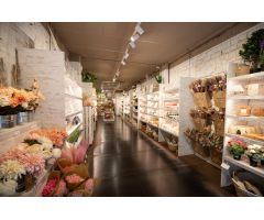 Local comercial en Rambla Nova