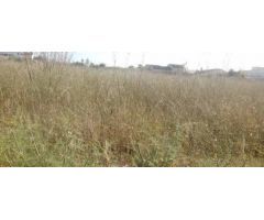 Terreno urbano en Venta en Vinaròs, Castellón