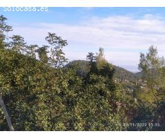 Chalet en Venta en El Olivar, Valencia