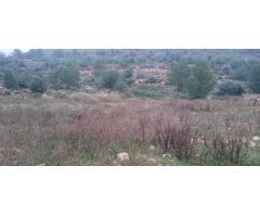 Terreno urbano en Venta en Barxa de Lor, Valencia