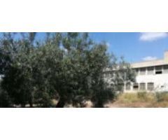 Terreno urbano en Venta en Llombai, Valencia