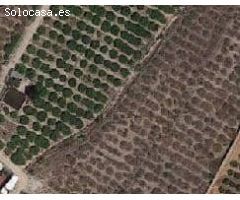 Terreno urbano en Venta en Ollauri, Valencia