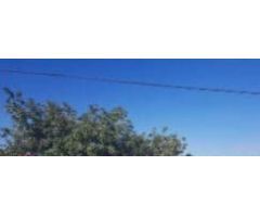 Terreno urbano en Venta en La Torre Monserrat, Valencia