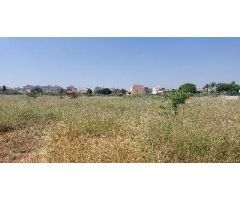 Terreno Rústico en Venta en Castellon - Castello de la Plana, Castellón