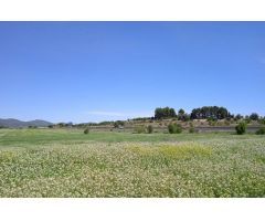 Terreno urbano en Venta en Agullent, Valencia