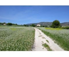 Terreno urbano en Venta en Agullent, Valencia
