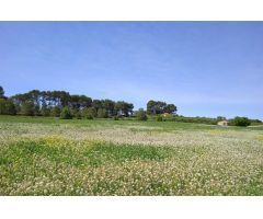 Terreno urbano en Venta en Agullent, Valencia