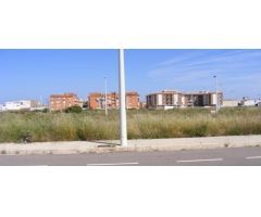 Terreno Rústico en Alquiler en Moncófar, Castellón