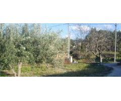 Terreno Rústico en Venta en Ontinyent, Valencia