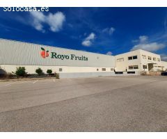 Nave industrial en Venta en Vinaròs, Castellón