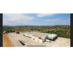 Nave industrial en Venta en Vinaròs, Castellón