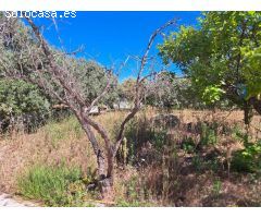 Chalet en Venta en Benicarló, Castellón