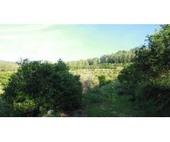 Terreno urbano en Venta en Alzira, Valencia