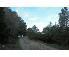 Terreno Rústico en Venta en Xàtiva, Valencia