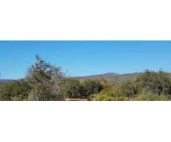 Terreno Rústico en Venta en Benicolet, Valencia